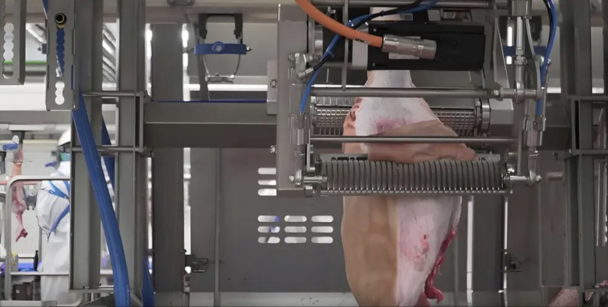 Marel explores innovation in pork deskinning with the new DeboFlex Inline Skinner